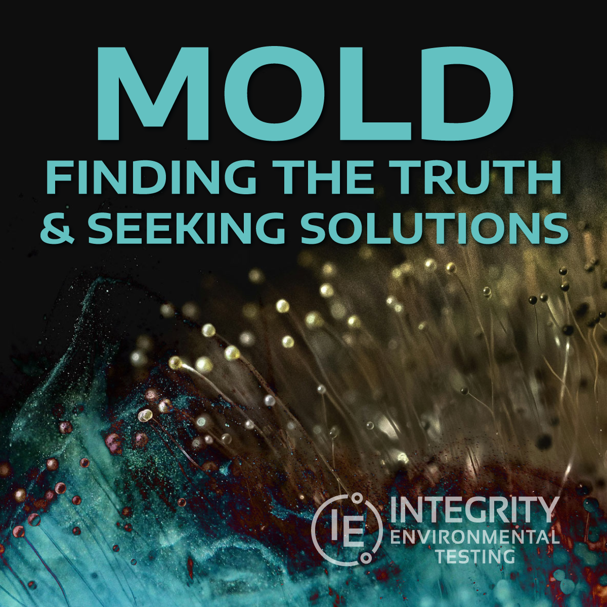 Mold: Finding the Truth and Seeking Solutions
