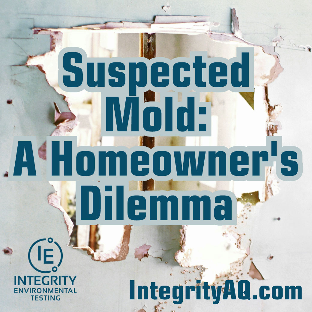 Suspected Mold: A Homeowner’s Dilemma