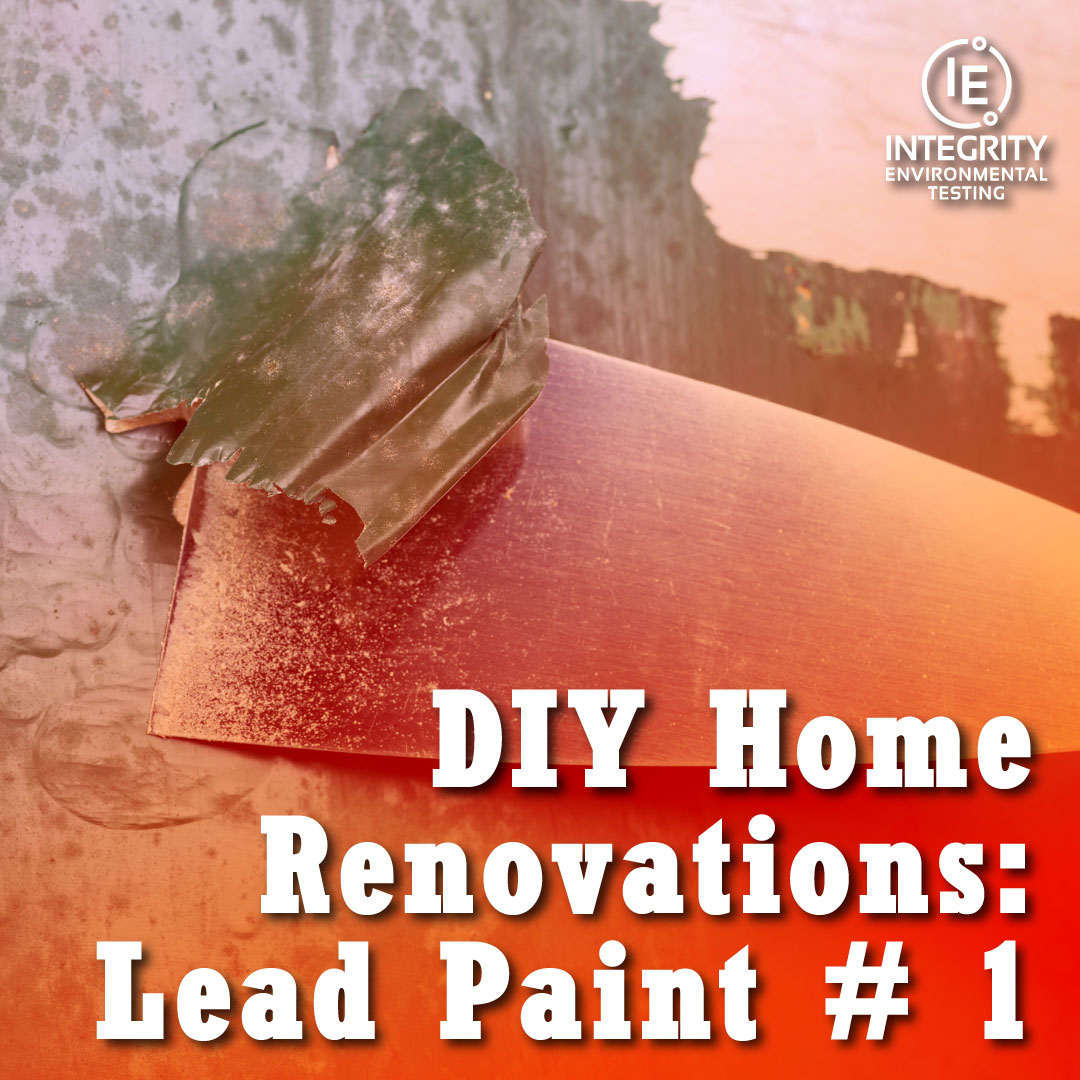 DIY Home Renovations and Lead Paint