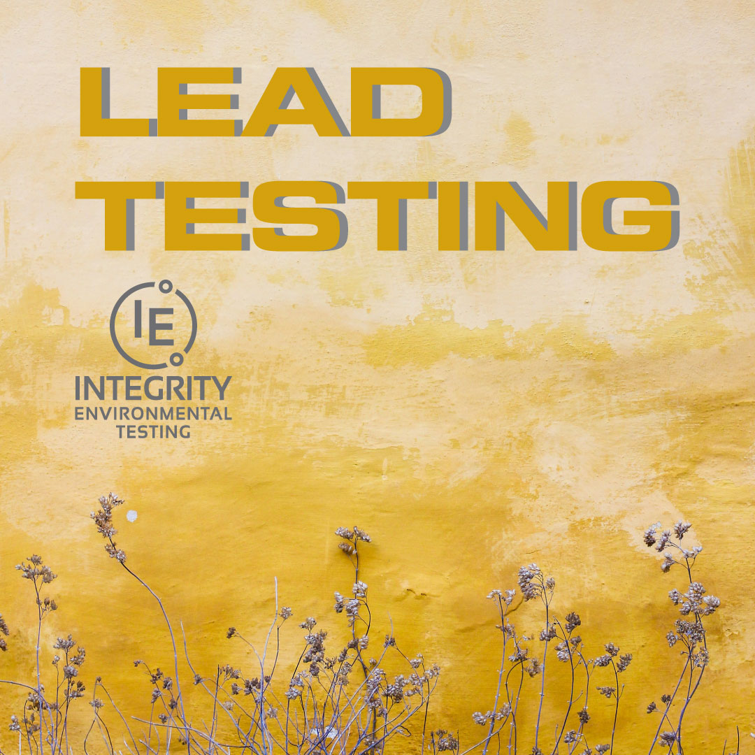 Lead Testing in Alamosa, Colorado