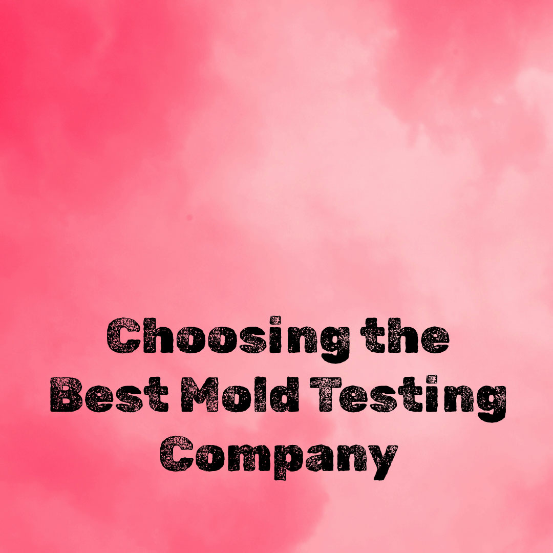 Choosing the best mold testing company in Denver, Colorado.