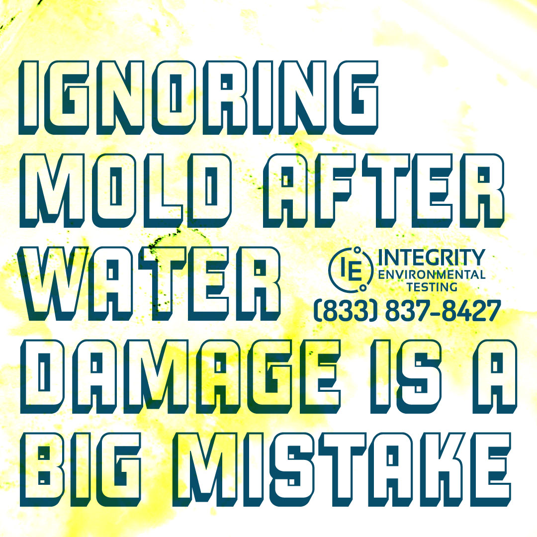 Why Ignoring Mold After Water Damage is a Big Mistake