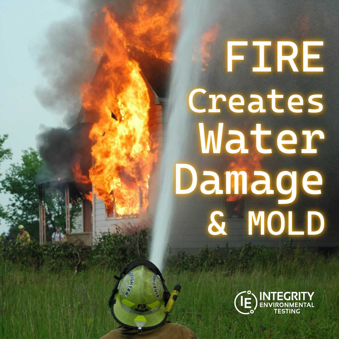 Fire Creates Water Damage (and Mold)