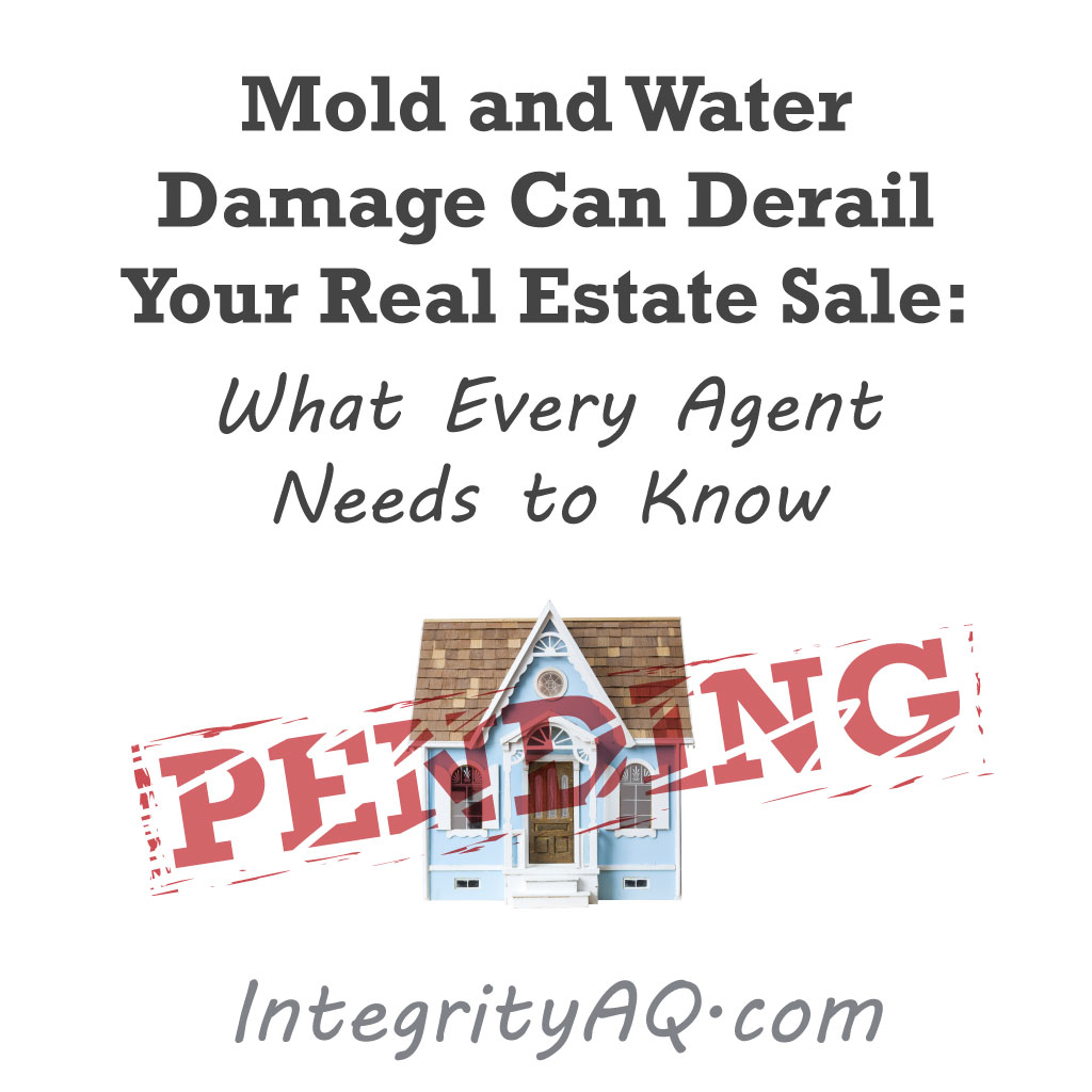 Mold and Water Damage Can Derail Your Real Estate Sale: What Every Agent Needs to Know