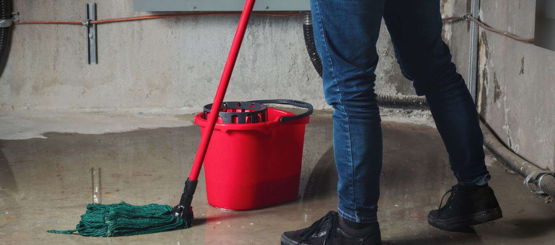 Best mold tester after water damage in Boulder