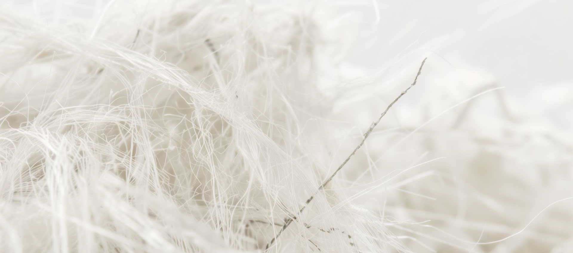 Close-up of mold spores and dust particles for Colorado mold testing.