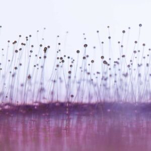 VOC testing equipment used for indoor air quality assessment in Colorado.